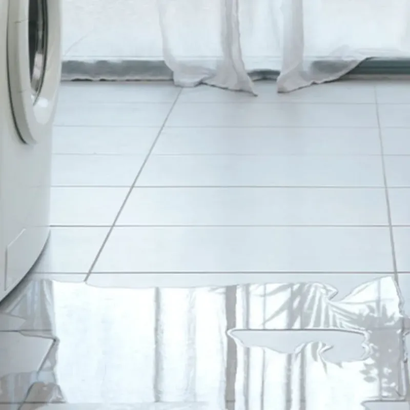 Appliance Leak Cleanup in Petersburg, TX
