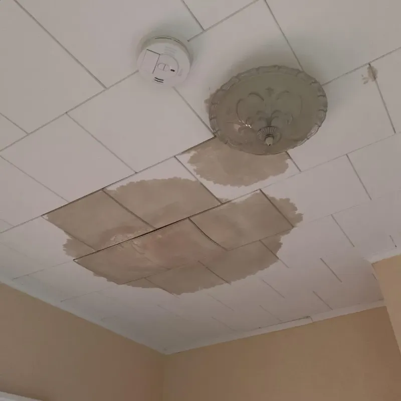 Ceiling Water Damage Repair in Petersburg, TX