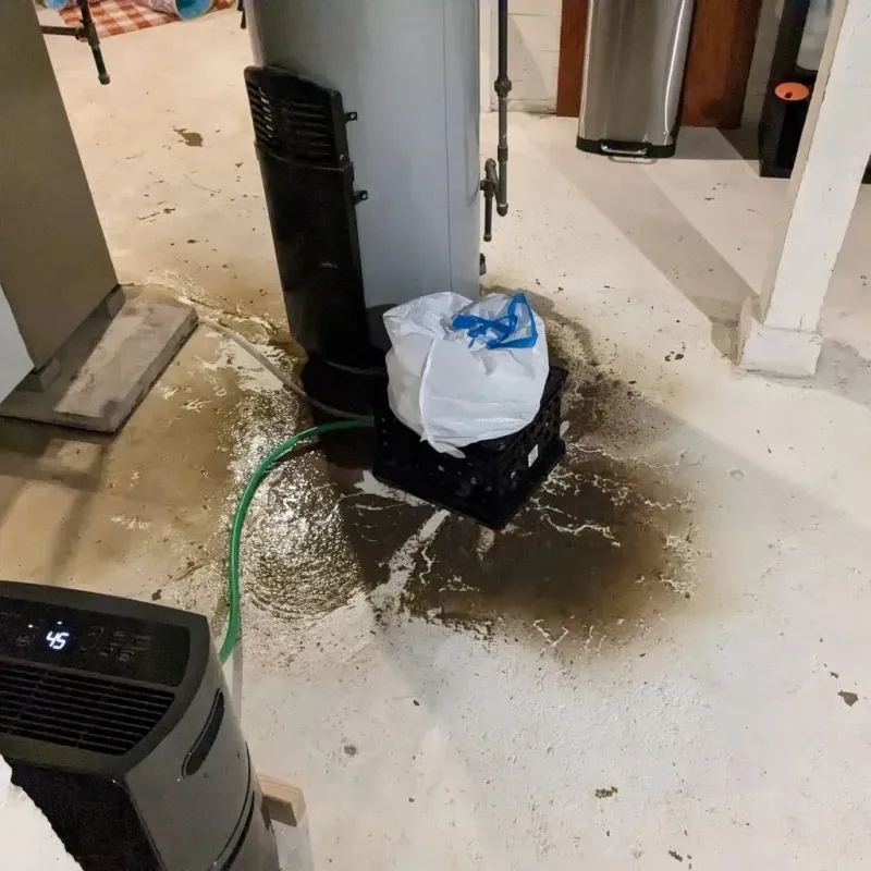 Sewage Backup Cleanup Service in Petersburg, TX